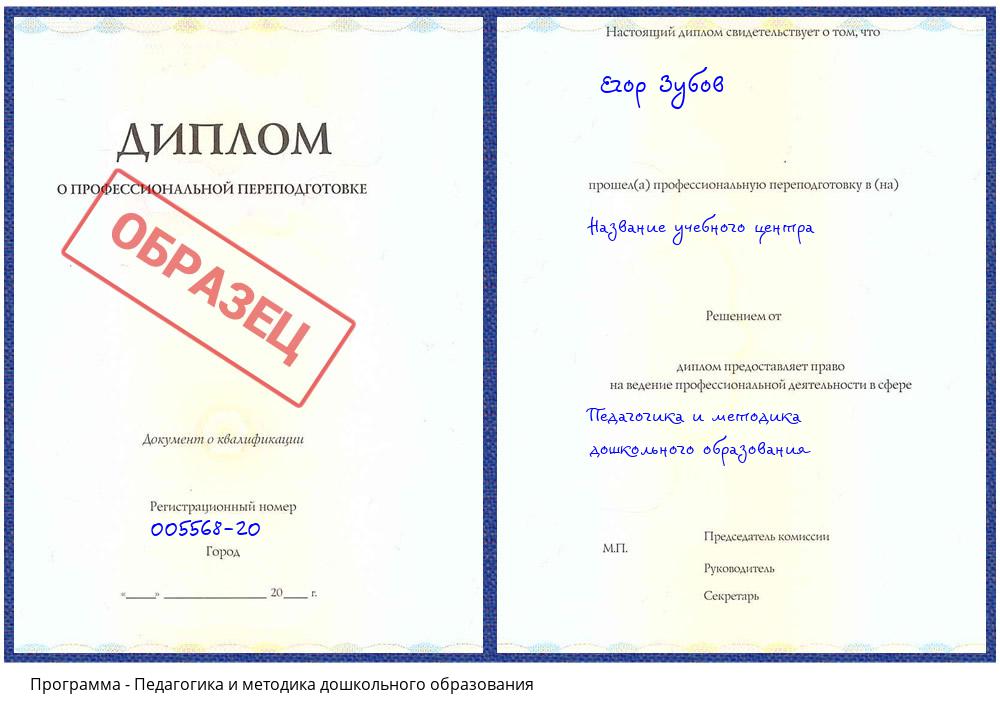 Педагогика и методика дошкольного образования Городец