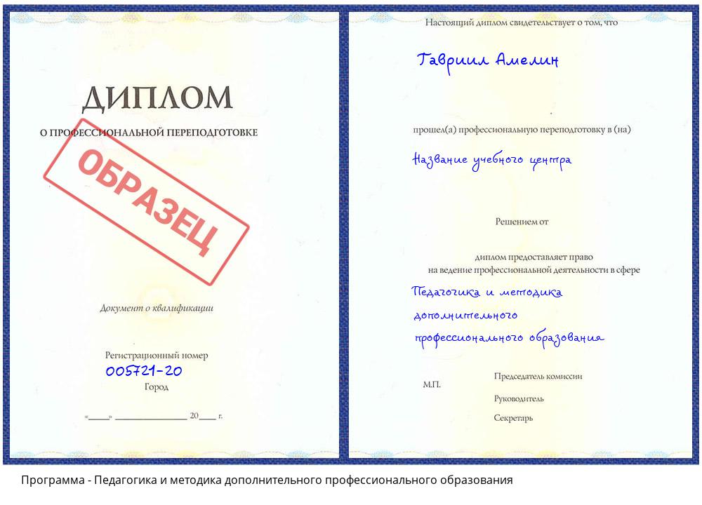 Педагогика и методика дополнительного профессионального образования Городец