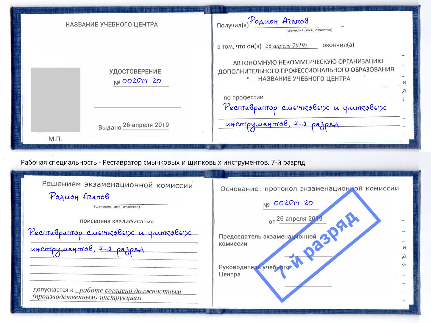 корочка 7-й разряд Реставратор смычковых и щипковых инструментов Городец