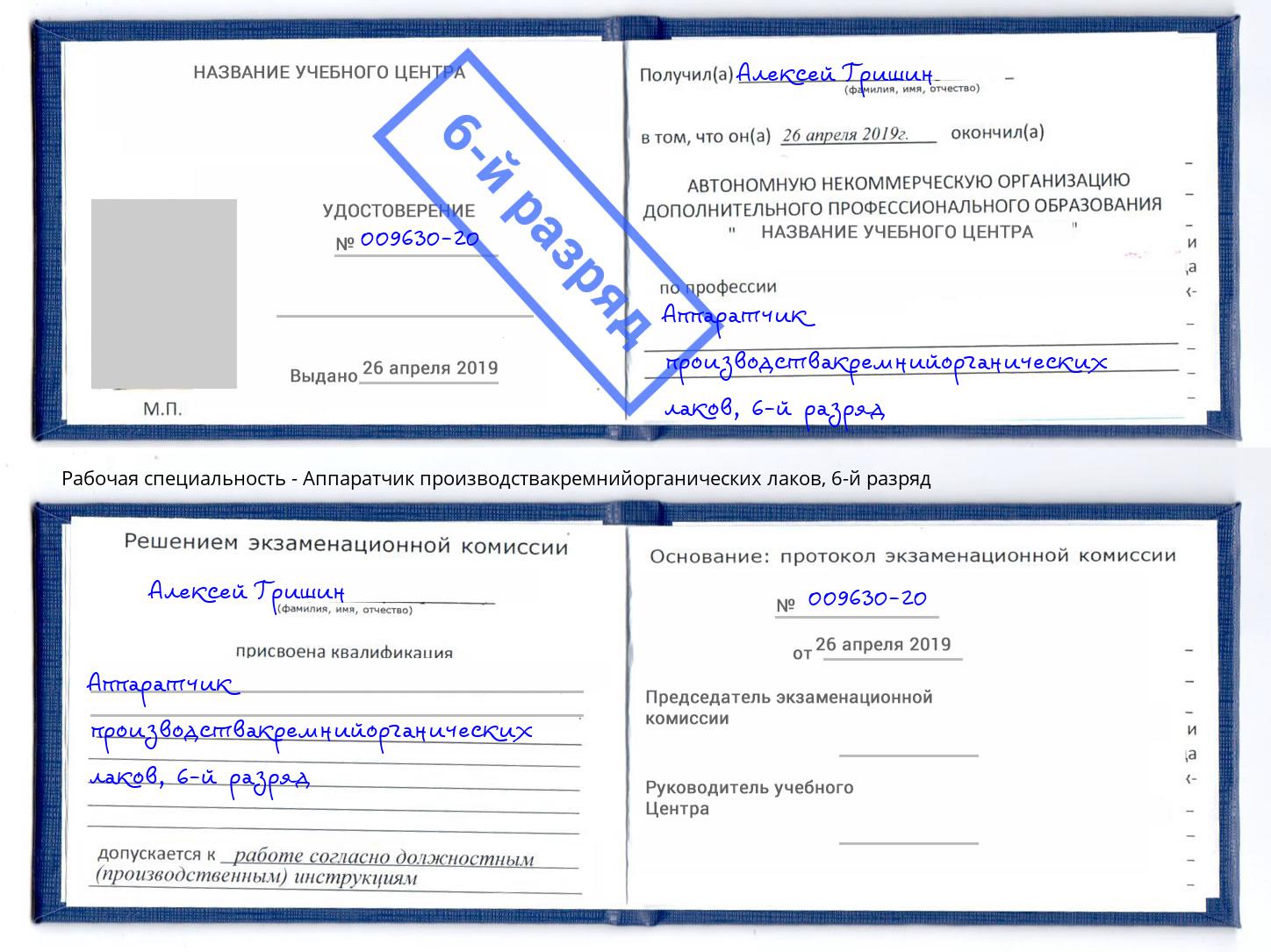 корочка 6-й разряд Аппаратчик производствакремнийорганических лаков Городец